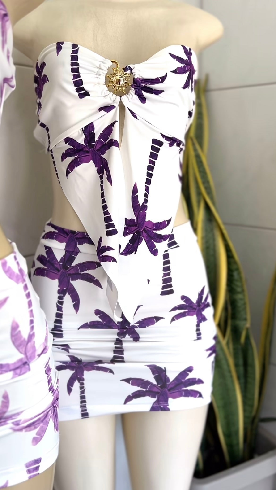 Conjunto Roberta